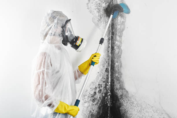 Asbestos and Lead Testing During Mold Inspection in Roswell, GA