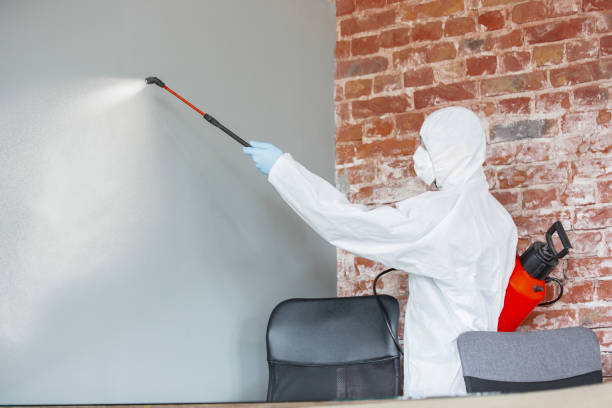Best Mold Prevention Services  in Roswell, GA
