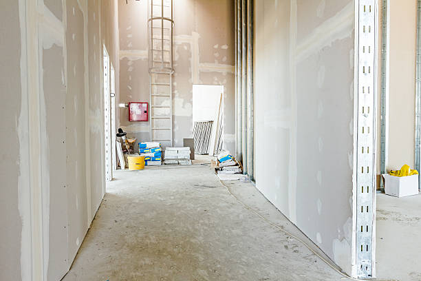 Best Mold Odor Removal Services  in Roswell, GA