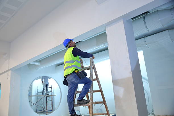 Best Basement Mold Removal  in Roswell, GA